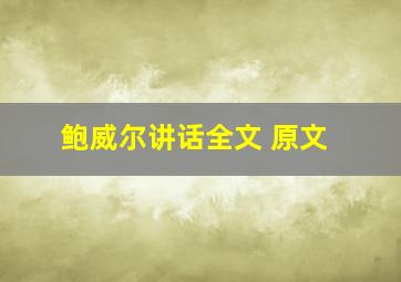 鲍威尔讲话全文 原文